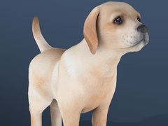 თამაშის IDLE Pet