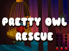 თამაშის Pretty Owl Rescue