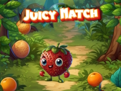 თამაშის Juicy Match