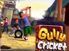 თამაშის Gully Cricket