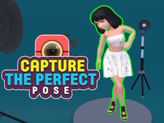 თამაშის Capture the Perfect Pose 