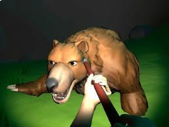 თამაშის Survival: Mysterious Forest