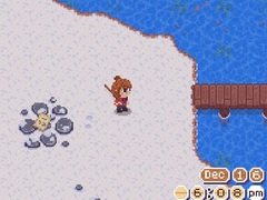 თამაშის The Cozy Fishing