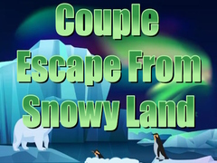 თამაშის Couple Escape from Snowy Land