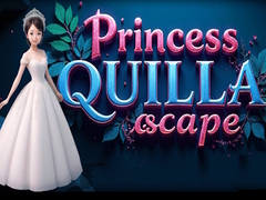 თამაშის Princess Quilla Escape