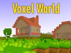 თამაშის Voxel World