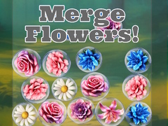 თამაშის Merge Flowers!