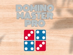 თამაშის Domino Master Pro