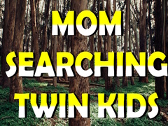თამაშის Mom Searching Twin Kids