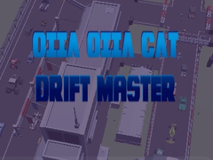 თამაშის Oiia Oiia Cat Drift Master