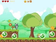 თამაშის Baby Cat Adventure