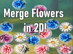 თამაშის Merge Flowers in 2D!