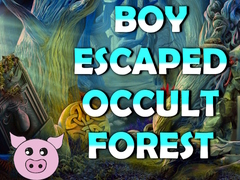 თამაშის Boy Escaped Occult Forest
