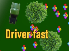 თამაშის Driver fast
