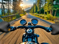 თამაშის Motorcycle Racer: Road Mayhem