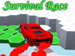 თამაშის Survival Race