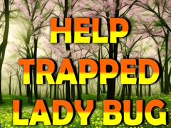 თამაშის Help Trapped Lady Bug