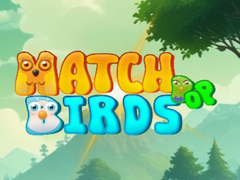 თამაშის Match Pop Birds
