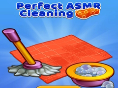 თამაშის Perfect Asmr Cleaning