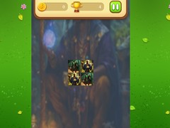თამაშის Magic Druid Memory Match