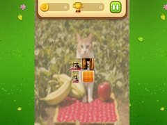 თამაშის Farm Cat Memory Match