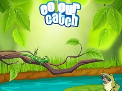 თამაშის Colour Catch
