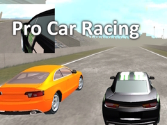 თამაშის Pro Car Racing