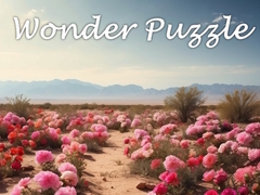 თამაშის Wonder Puzzle