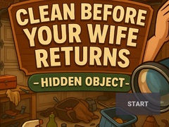 თამაშის Clean Before Your Wife Returns Hidden Object