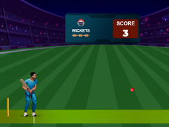 თამაშის Cricket Night 2