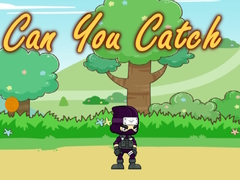თამაშის Can You Catch
