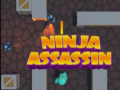 თამაშის Ninja Assassin