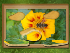 თამაშის Find & Restore: Hidden Puzzle
