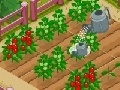 თამაშის New Farmer 2