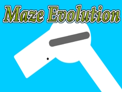 თამაშის Maze Evolution