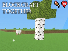 თამაშის BlockCraft Together