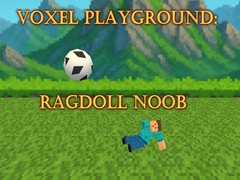 თამაშის Voxel Playground: Ragdoll Noob