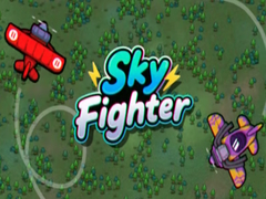 თამაშის Sky Fighter