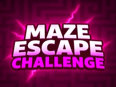 თამაშის Maze Escape Challenge
