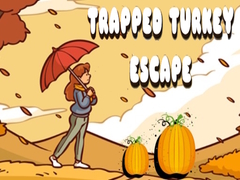 თამაშის Trapped Turkey Escape