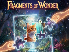 თამაშის Fragments of Wonder