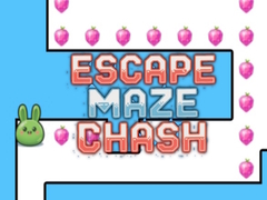 თამაშის Escape Maze Chush