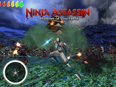 თამაშის Ninja Assassin 