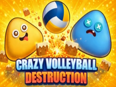თამაშის Crazy Volleyball Destruction