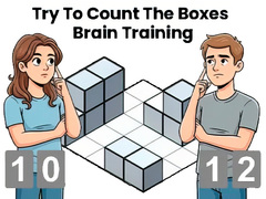 თამაშის Try To Count The Boxes Brain Training
