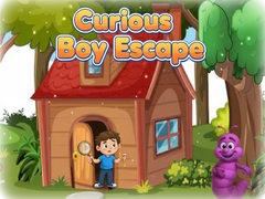 თამაშის Curious Boy Escape