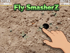 თამაშის Fly SmasherZ