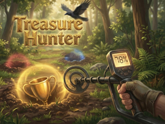 თამაშის Treasure Hunter