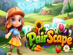 თამაშის Pair Scape