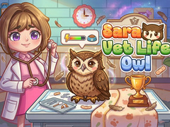 თამაშის Sara Vet Life Ep14: Owl